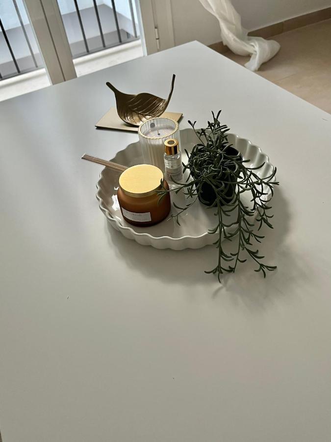 Sherry Suites VI Apartamentos Parking Gratuito Jerez de la Frontera Eksteriør bilde