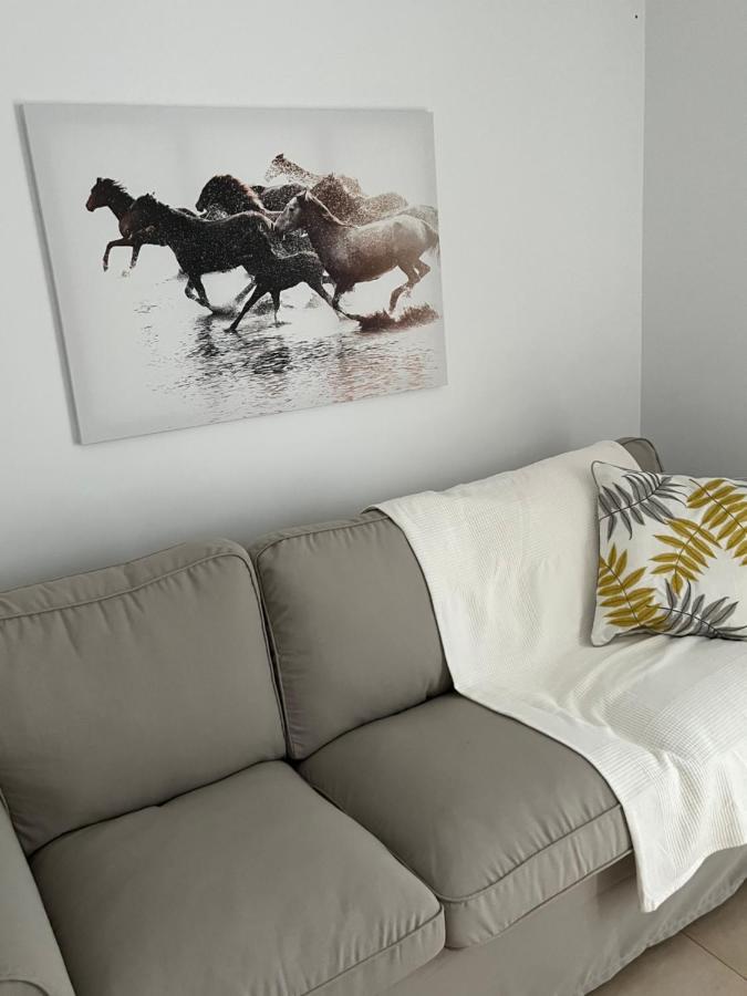 Sherry Suites VI Apartamentos Parking Gratuito Jerez de la Frontera Eksteriør bilde